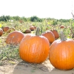 2008-10-07 (040).jpg